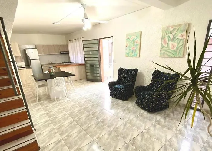 Duplex Con Terraza Y Cochera Para Auto, No Camioneta!